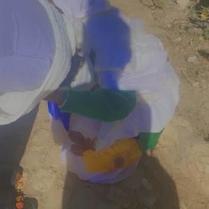 Meet your Posher, Aster